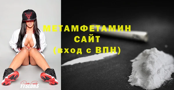 шишки Медвежьегорск