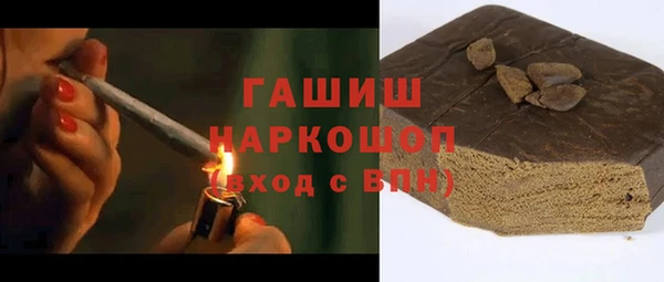 шишки Медвежьегорск
