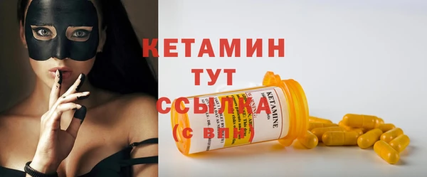 шишки Медвежьегорск