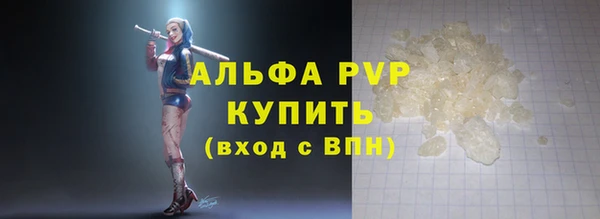 ECSTASY Магас