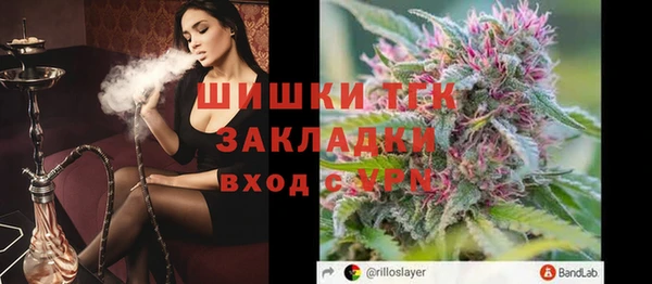 шишки Медвежьегорск